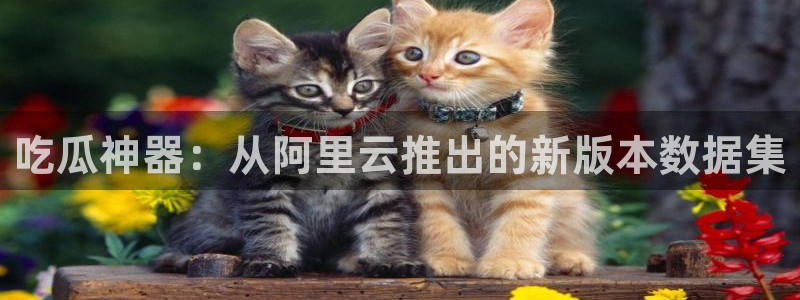 网络黑料最新消息