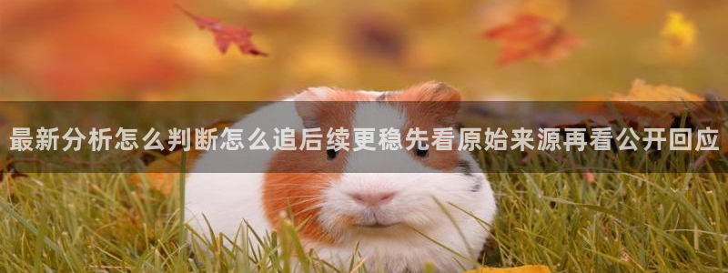 黑料当事人回应