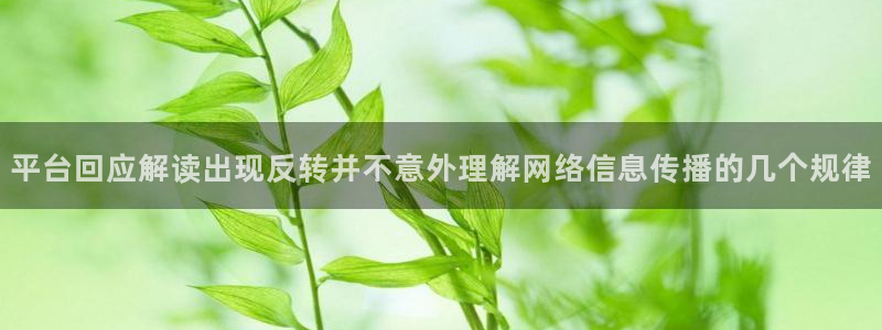 明星黑料当事人回应