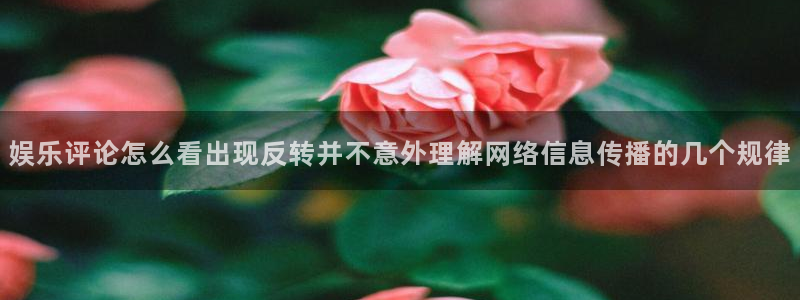 娱乐黑料