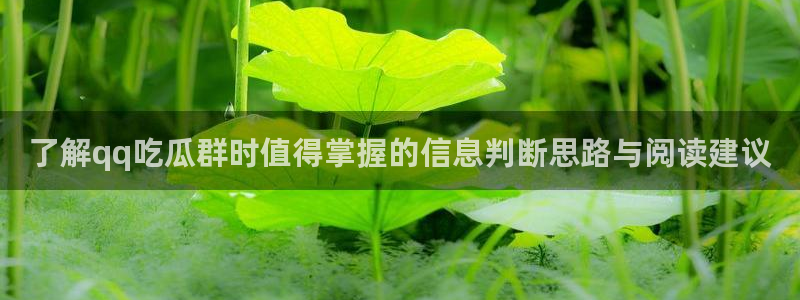 娱乐黑料后续进展