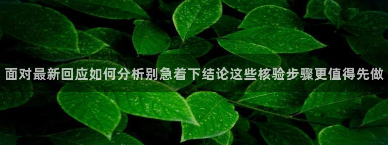 网红黑料真伪核验