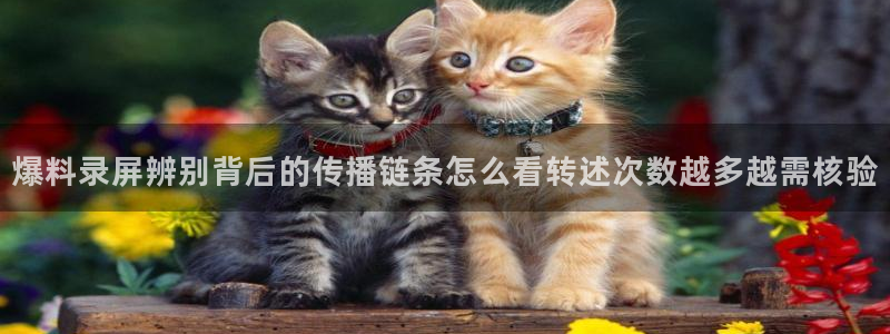 主播黑料真伪核验